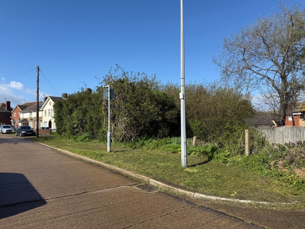 Lot: 38 - FREEHOLD PARCEL OF LAND WITH POTENTIAL - Land with trees on it